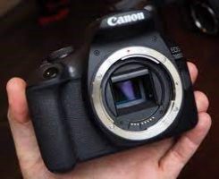 دوربین کامپکت و جمع و جور Canon EOS 2000D Body