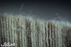 30 ژست و ایده عکاسی با رینگ لایت